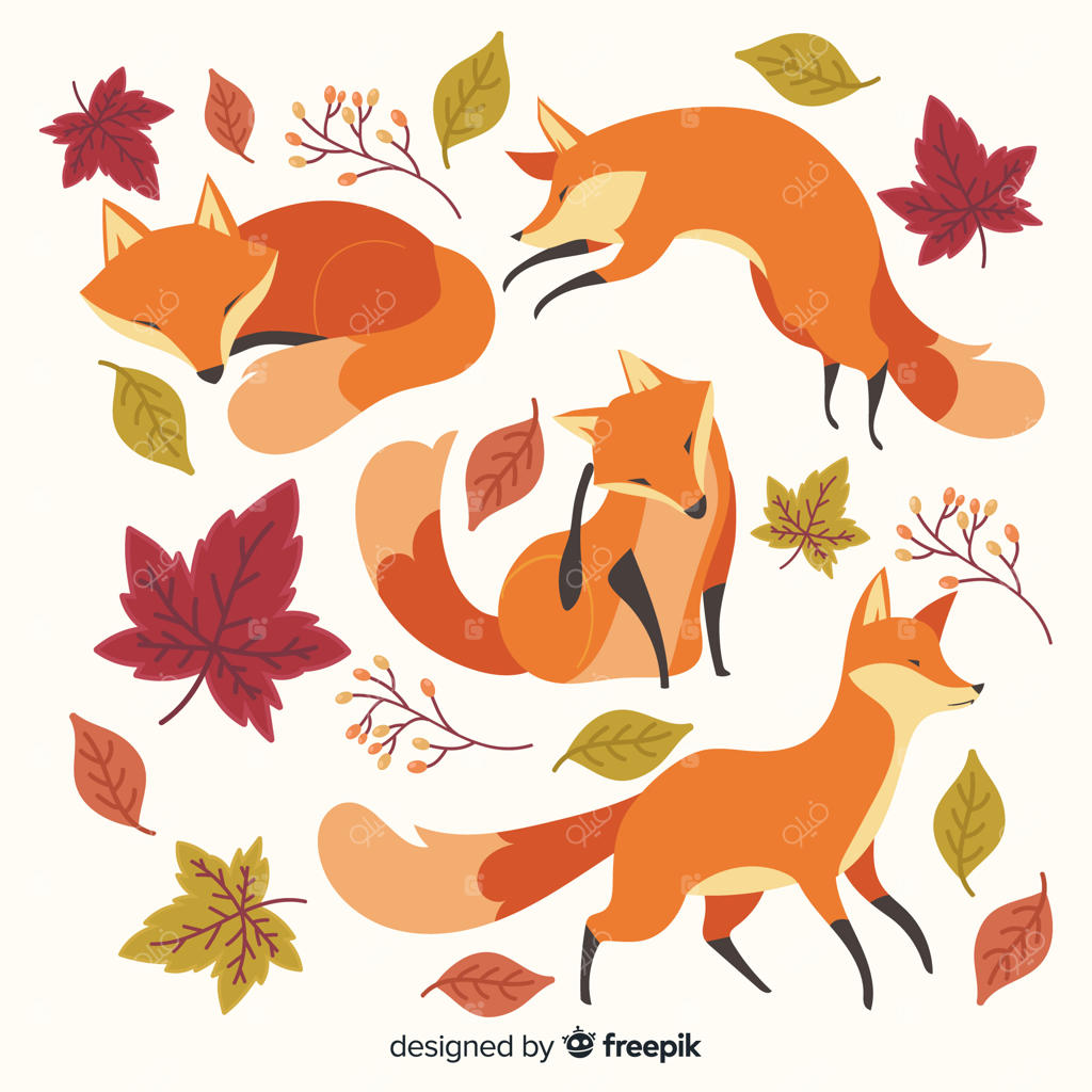 مجموعه‌ای از روباه‌های کوچک و بامزه