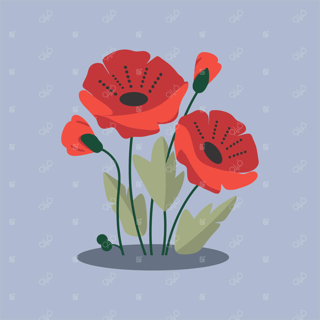 تصویرسازی وکتور گل‌های شقایق به سبک تخت