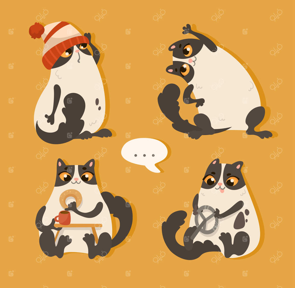 گربه در حال انجام کارهای صبحگاهی روی زمینه نارنجی است