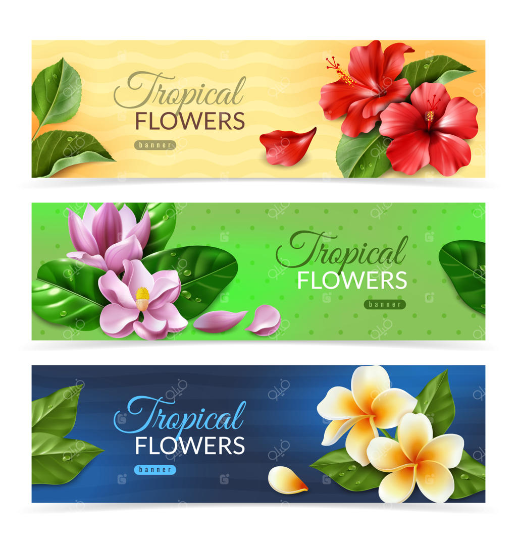 بنرهای افقی با گل‌های عجیب و غریب و واقعی: سه بنر افقی با دسته گل‌ها و برگ‌های گرمسیری به سبک واقع‌گرایانه