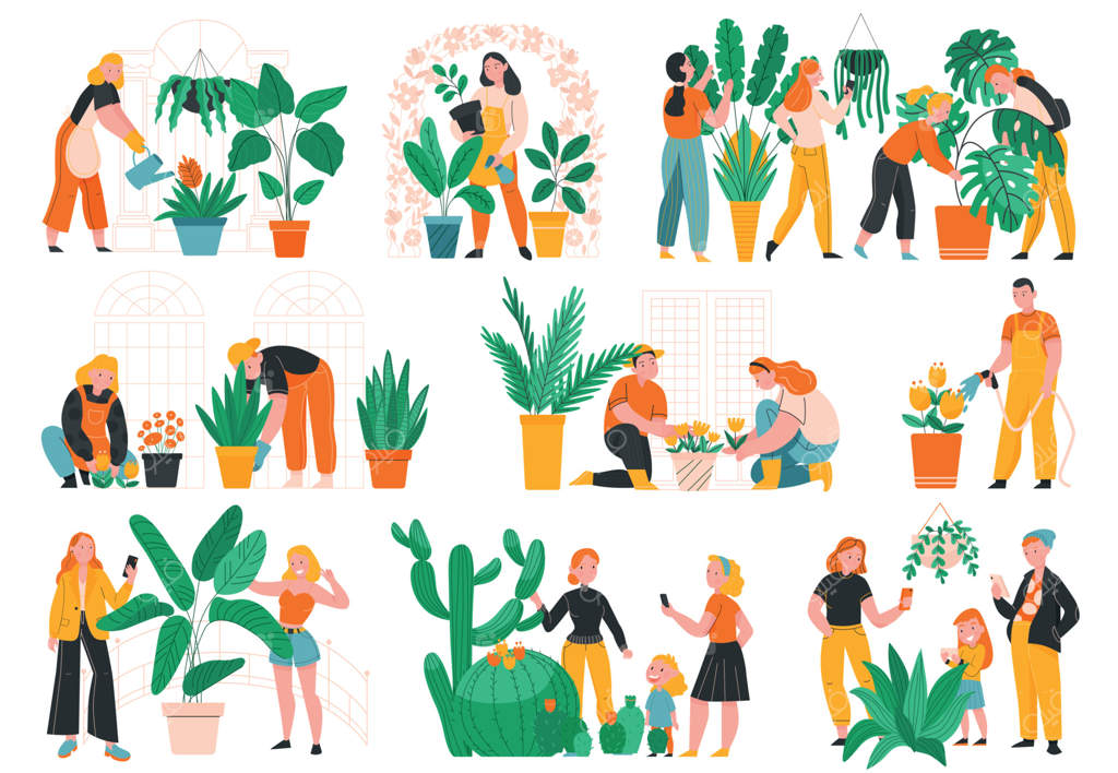 مجموعه وکتور حرفه‌ای از باغ گیاه‌شناسی
