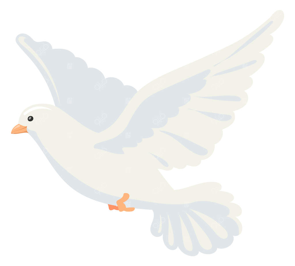 کبوتر سفید در حال پرواز - پرنده کارتونی کبوتر