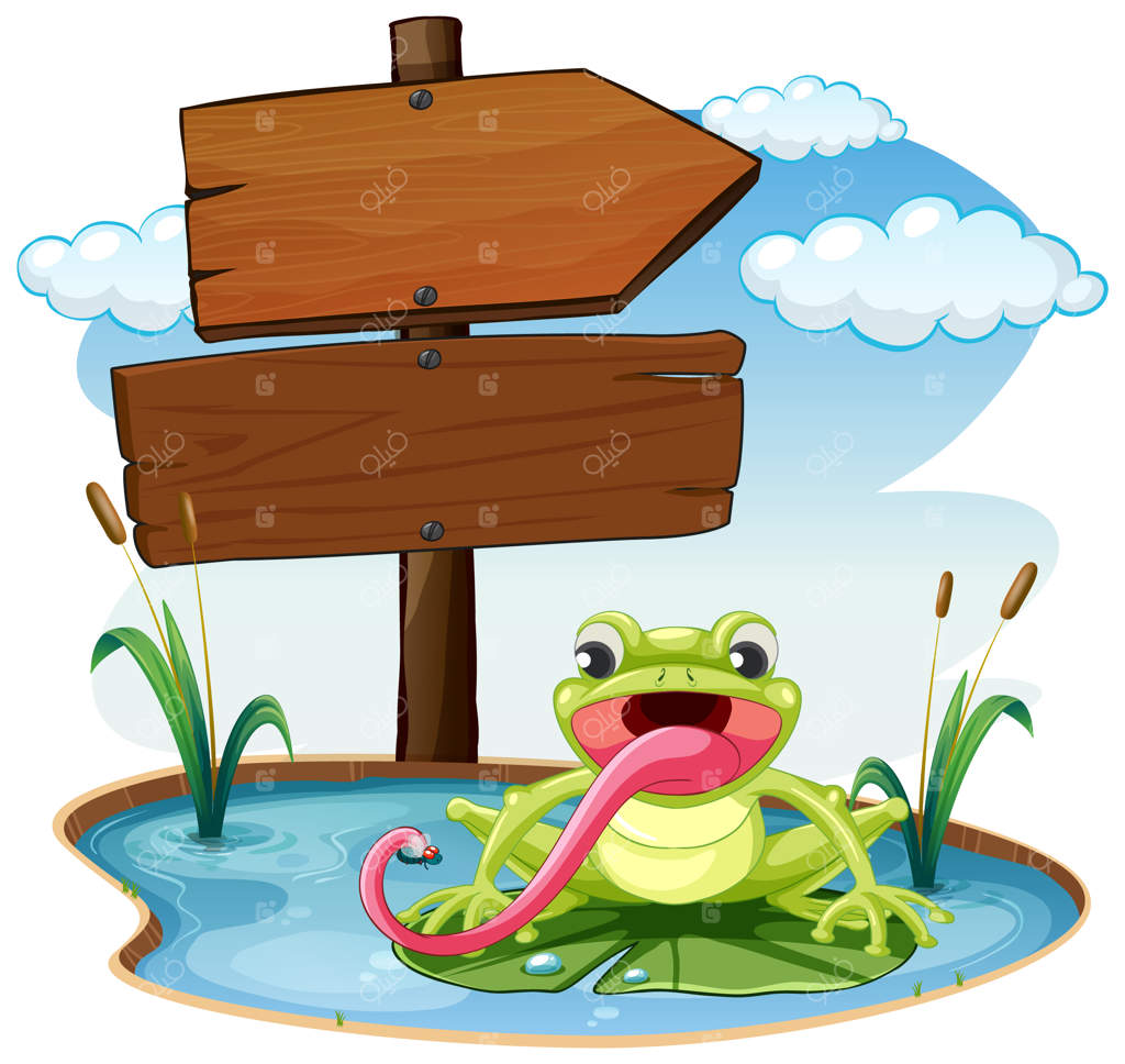 تابلوی راهنما با تصویر قورباغه روی زمینه سفید