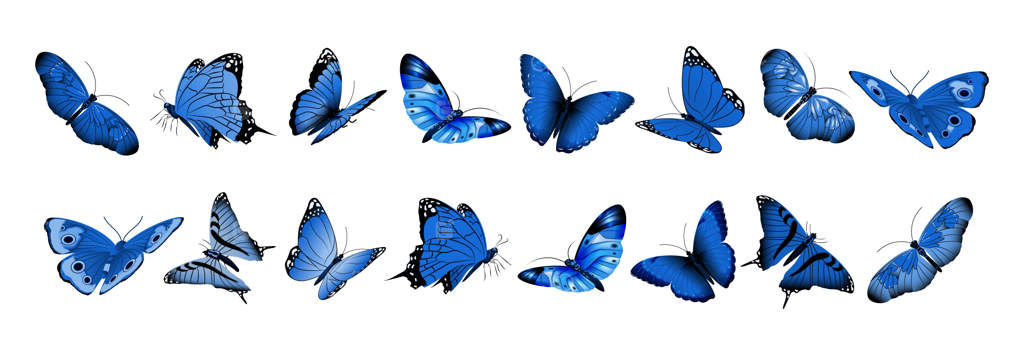 پروانه‌های آبی واقعی مجموعه‌ای از حشرات درخشان پراونه‌های پرنده دکوراتیو بهاری و تابستانی جنگل و باغ  وکتور حیات وحش