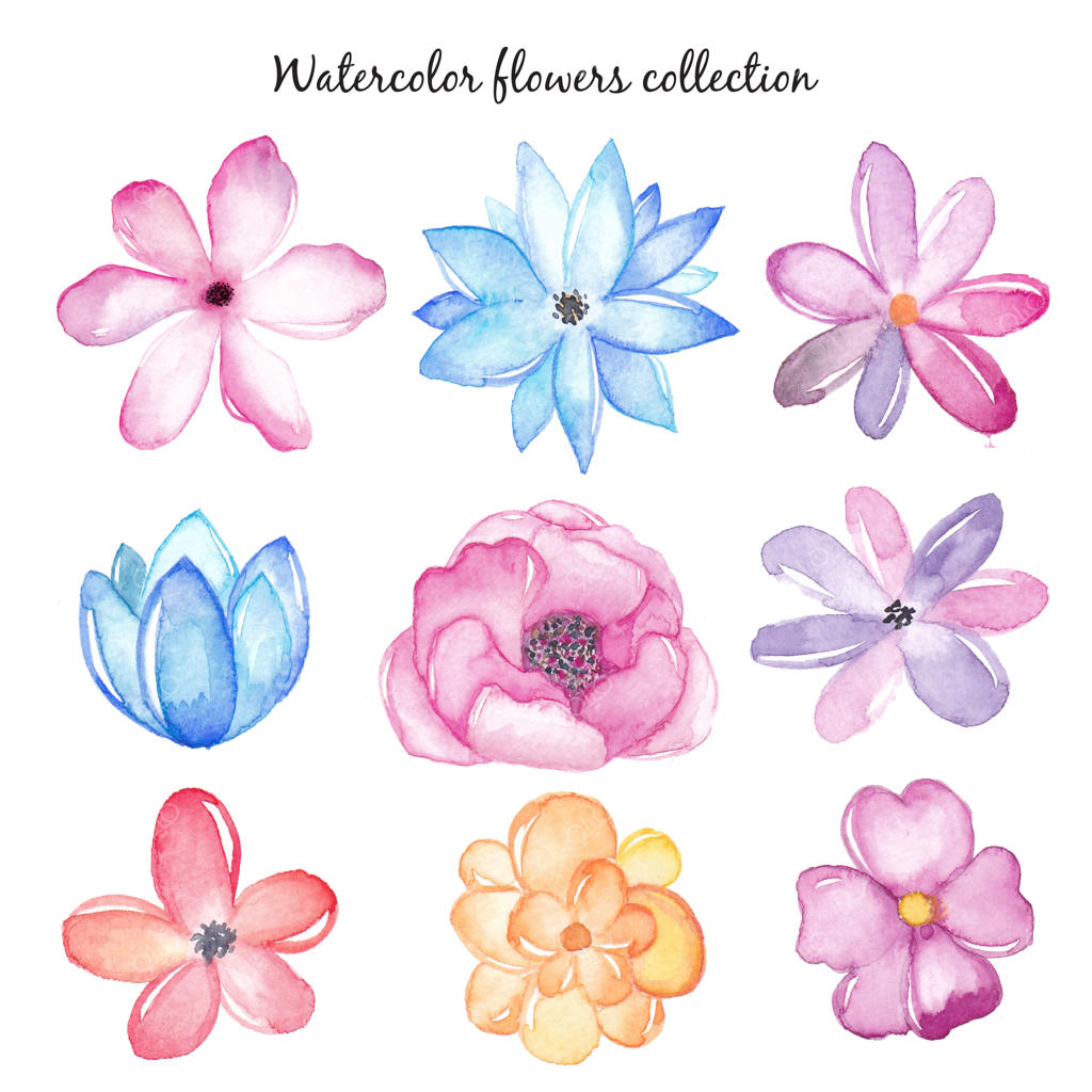 ست گل‌های آبرنگی