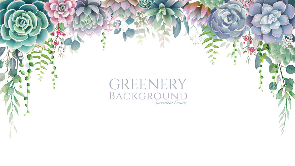 قاب ساکولنت، حاشیه روی زمینه سفید. تمام عناصر قابل ویرایش و مجزا هستند.