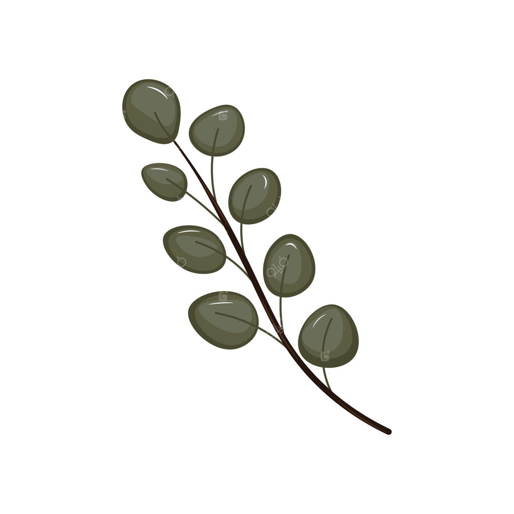 برگ‌های سبز روی شاخه در طراحی تخت. بروشورهای بهاری باغ. تصویرسازی مجزا.