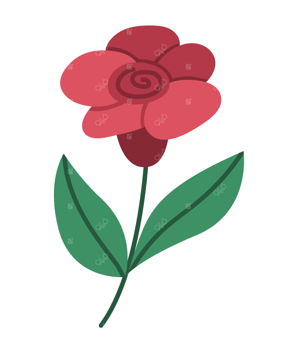 آیکون رز: تصویرسازی زیبای گل باغ روی زمینه سفید