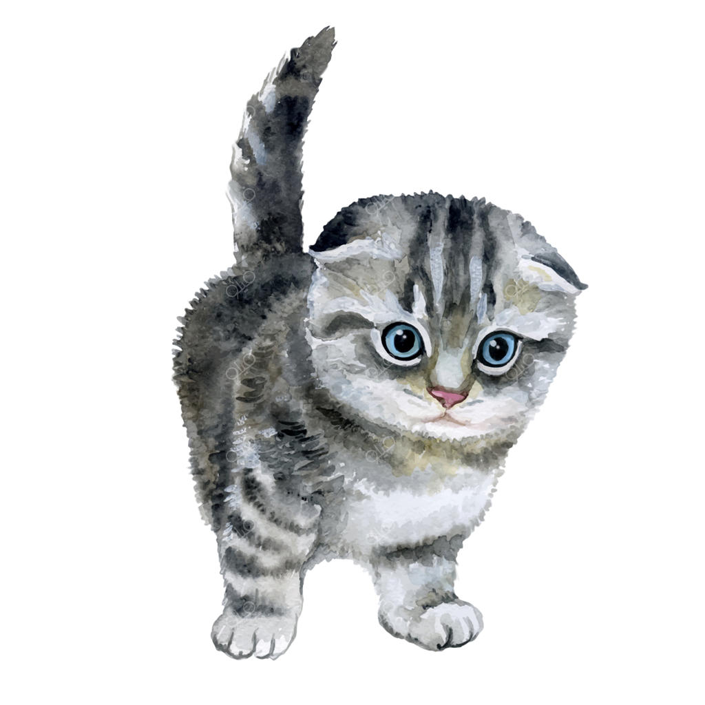 نقاشی آبرنگ بچه گربه خاکستری و پشمالو