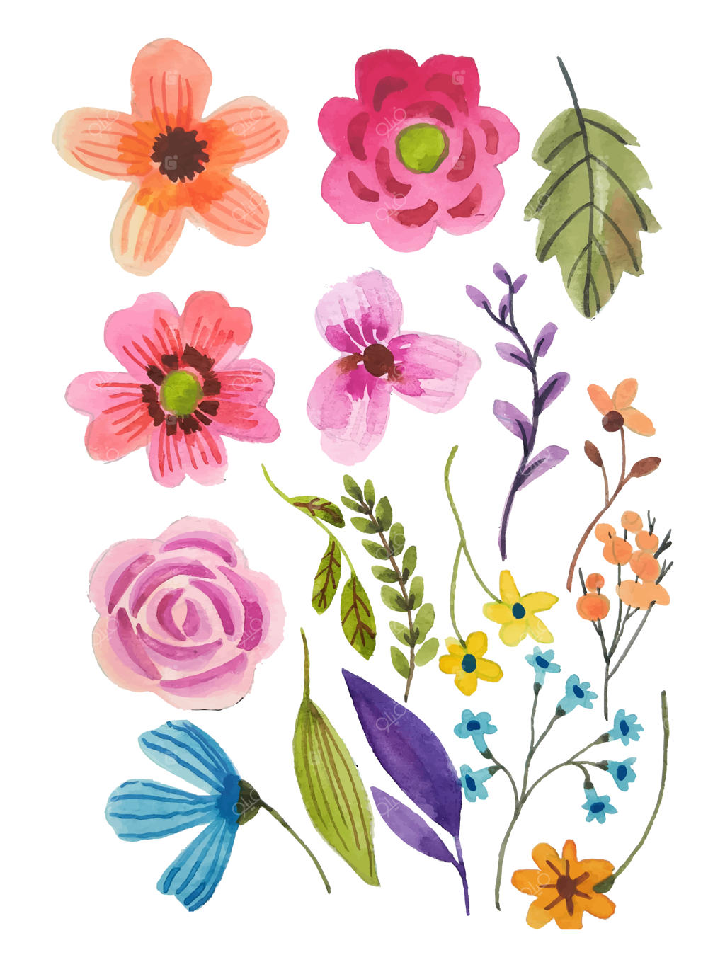 عنصر نقاشی دستی گل آبرنگی به صورت وکتور