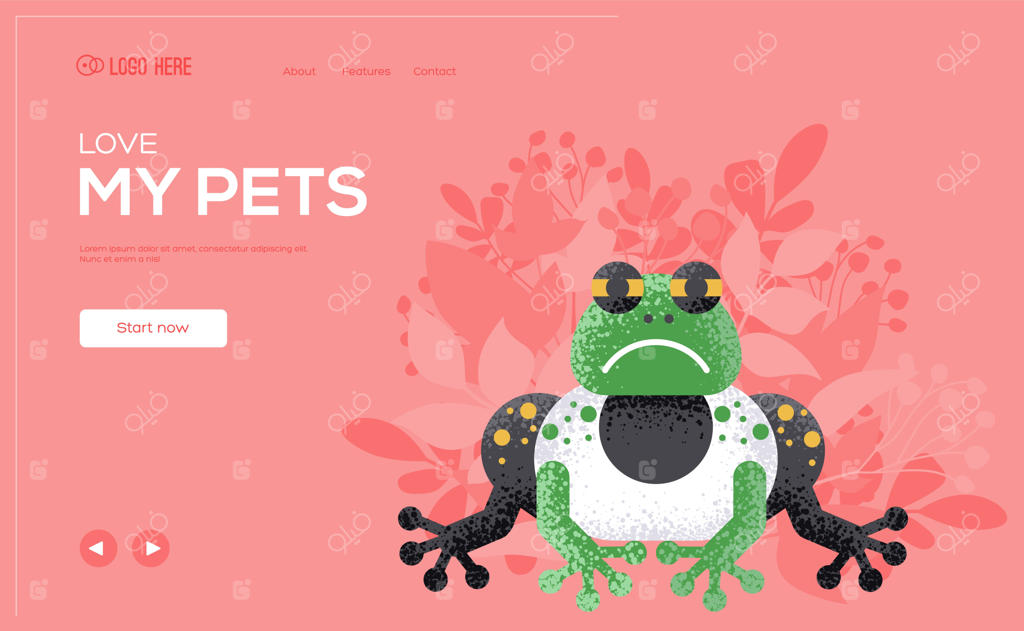 پوستر مفهومی قورباغه، بنر وب، سربرگ رابط کاربری، ورود به سایت. صفحه وب فروشگاه حیوانات خانگی.