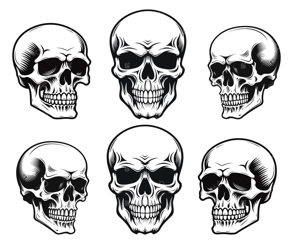 مجموعه وکتور جمجمه انسان و طرح سیلوئت در پس‌زمینه سفید