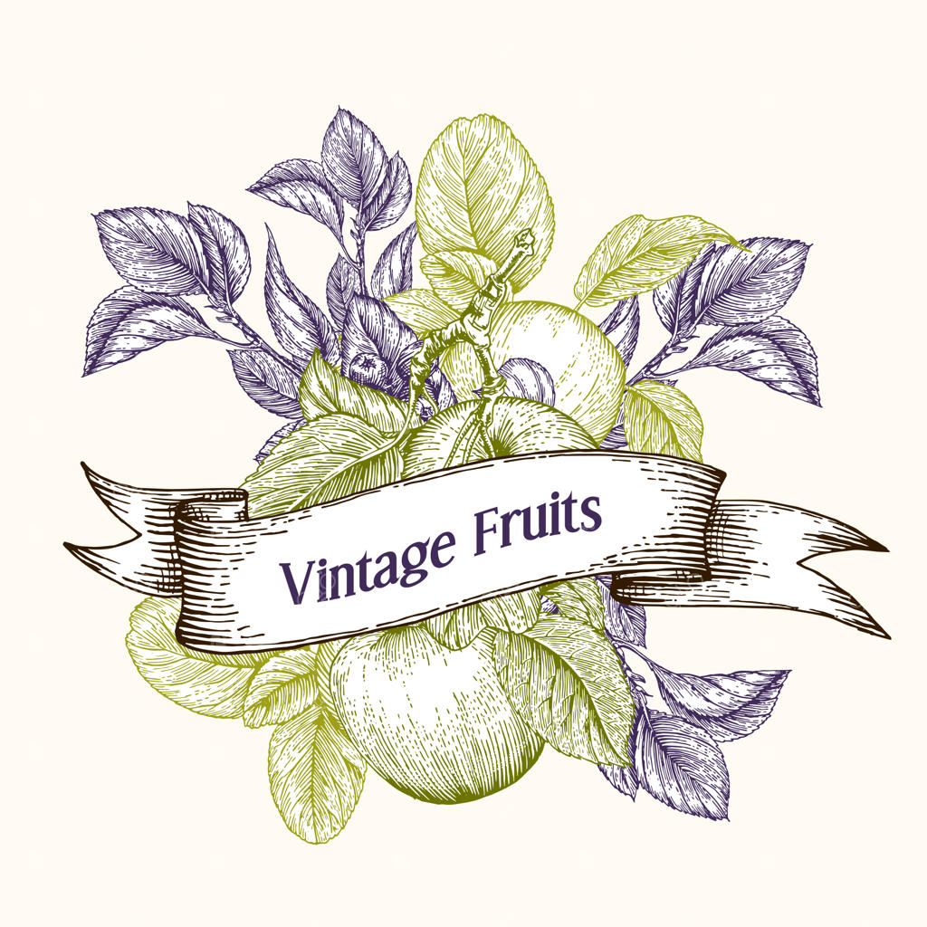 سیب‌های حکاکی‌شده قدیمی با برگ‌ها و شاخه‌های توت‌دار