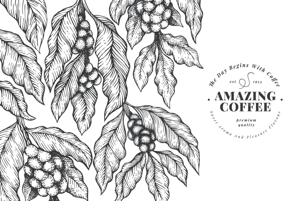 پس‌زمینه قهوه قدیمی طراحی شده با دست