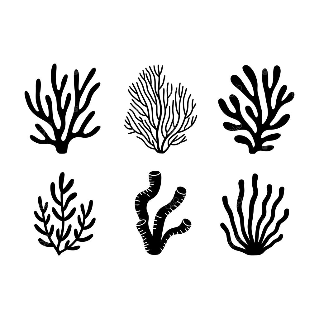 تصویر وکتور سیلوئت سیاه مرجان، حیات دریایی و گیاهان زیر آب