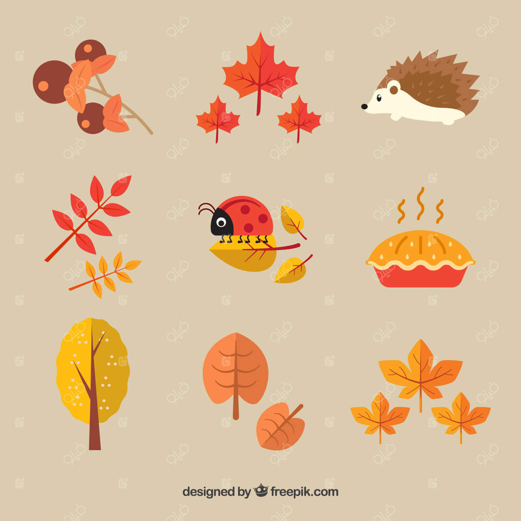 مجموعه‌ای جذاب از عناصر پاییزی و سرگرم‌کننده