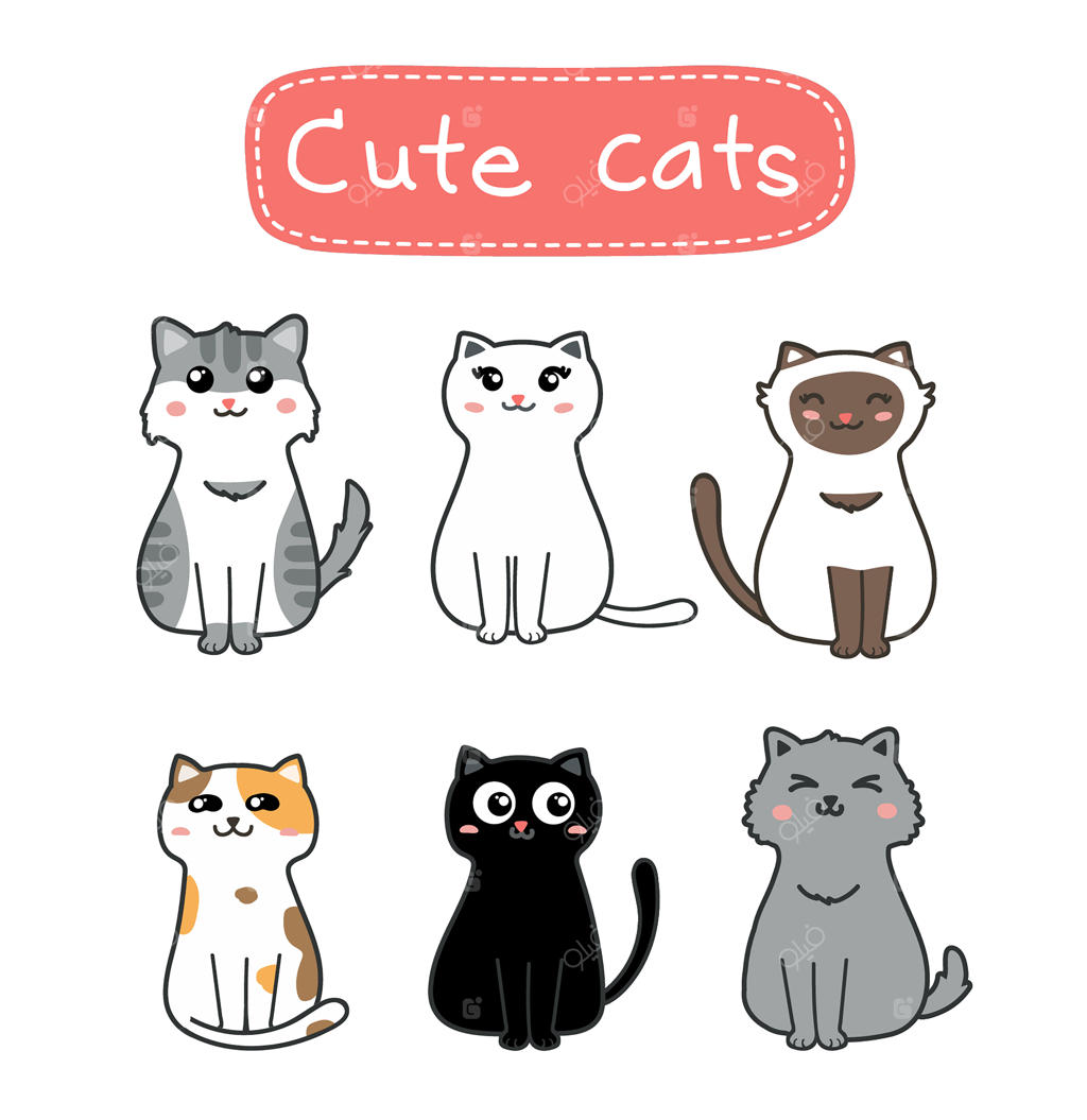 ست گربه‌های بامزه