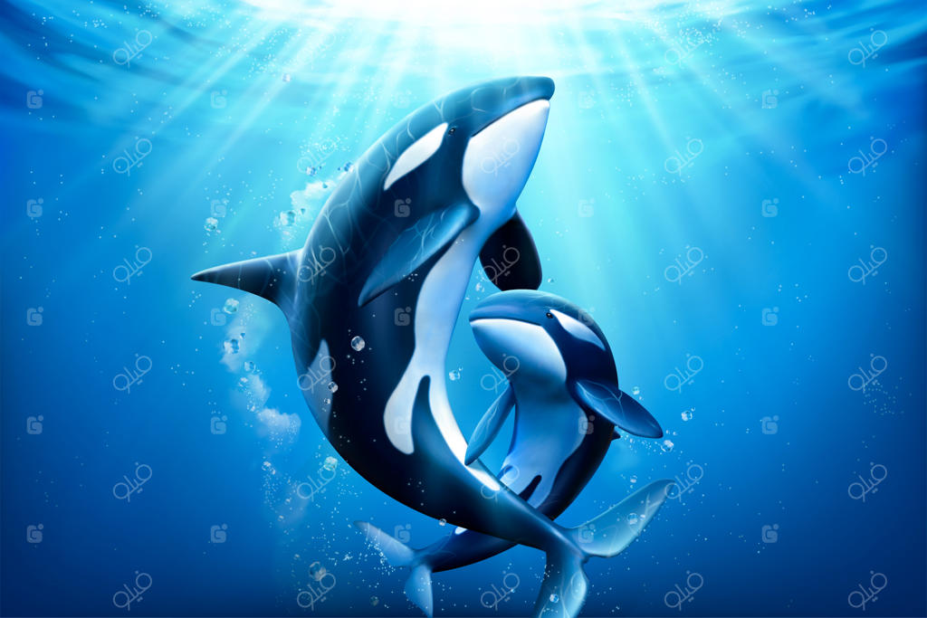 خانواده‌ی دوست‌داشتنی نهنگ‌های قاتل