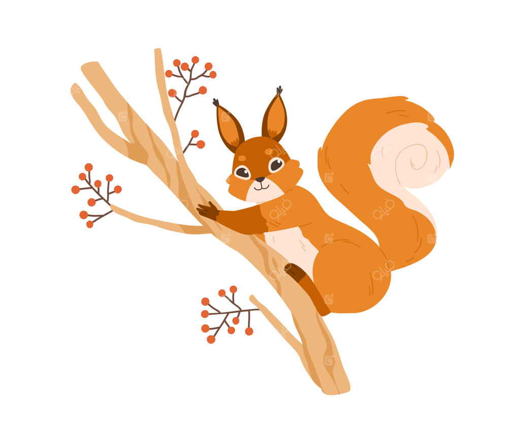 سنجاب خوشحال و بامزه روی شاخه درخت سماق. حیوان خنده‌دار و دوست‌داشتنی با دم پشمالو روی شاخه. تصویرسازی وکتور تخت از جونده جنگلی با خز نارنجی بر روی زمینه سفید.