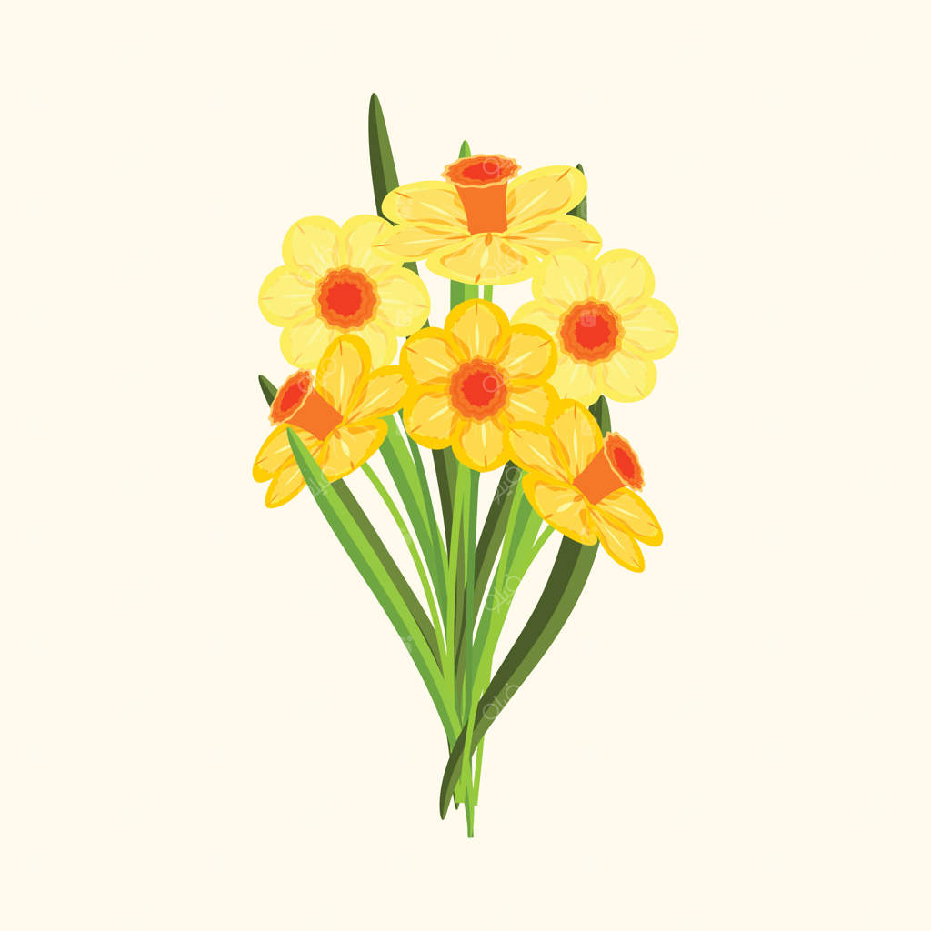 تصویر دسته‌گل نرگس بهاری، مناسب برای طراحی‌های باغ و تابستان