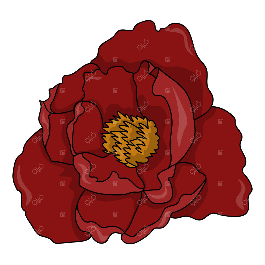 گل صد تومنی درختی در حال شکوفه، گیاه باغی با طراحی دستی و گلبرگ‌های آلو برای طراحی