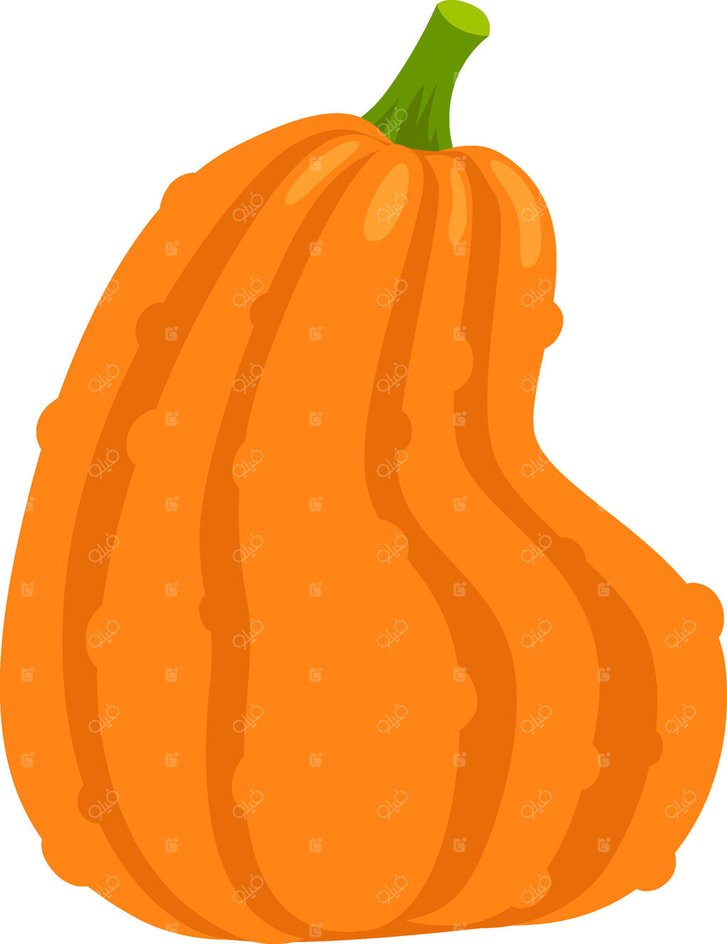 کدو تنبل تازه با ساقه سبز و شاداب در باغچه سبزی، نماد برداشت پاییزی و جشن‌های هالووین