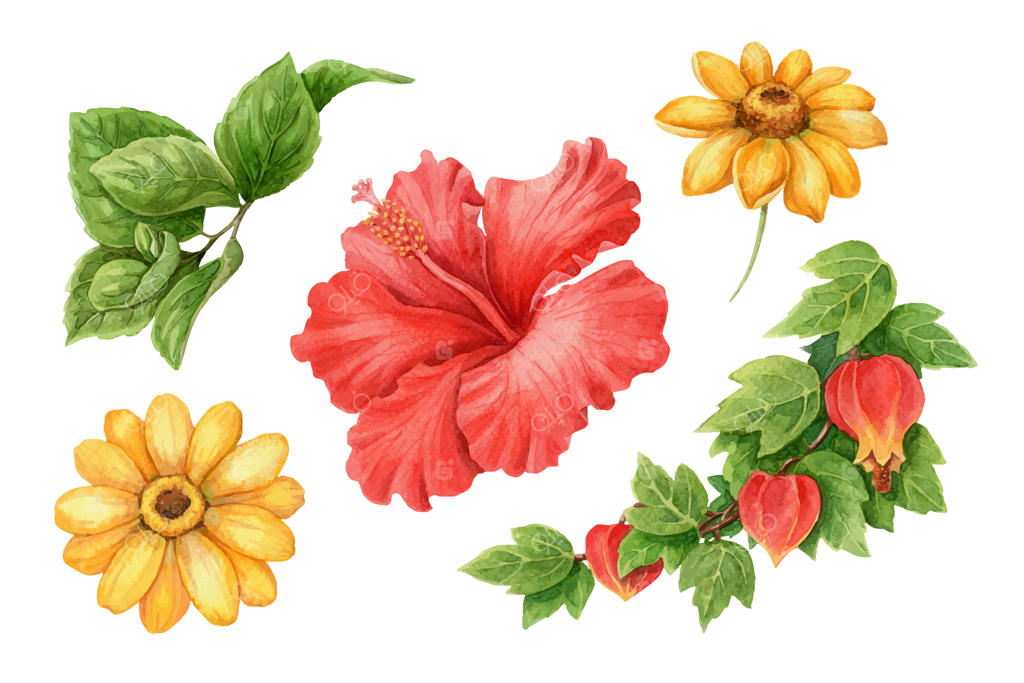 تصاویر آبرنگی گل‌های رنگارنگ