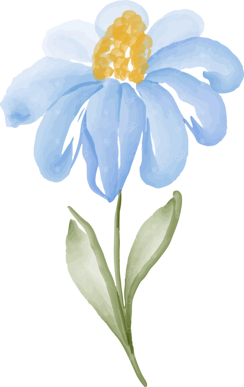 برگ‌ها و گل‌ها به سبک آبرنگ.