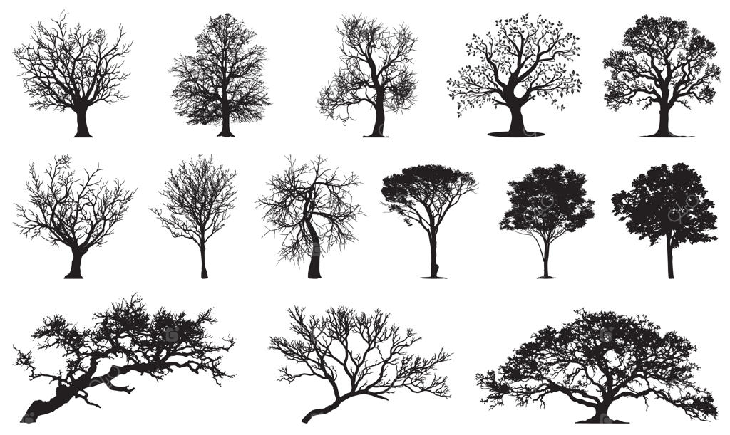 مجموعه سیلوئت درختان در اشکال و سبک‌های متنوع