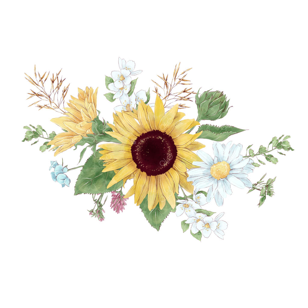 دسته‌گل آفتابگردان و گل‌های وحشی به سبک آبرنگ دیجیتال