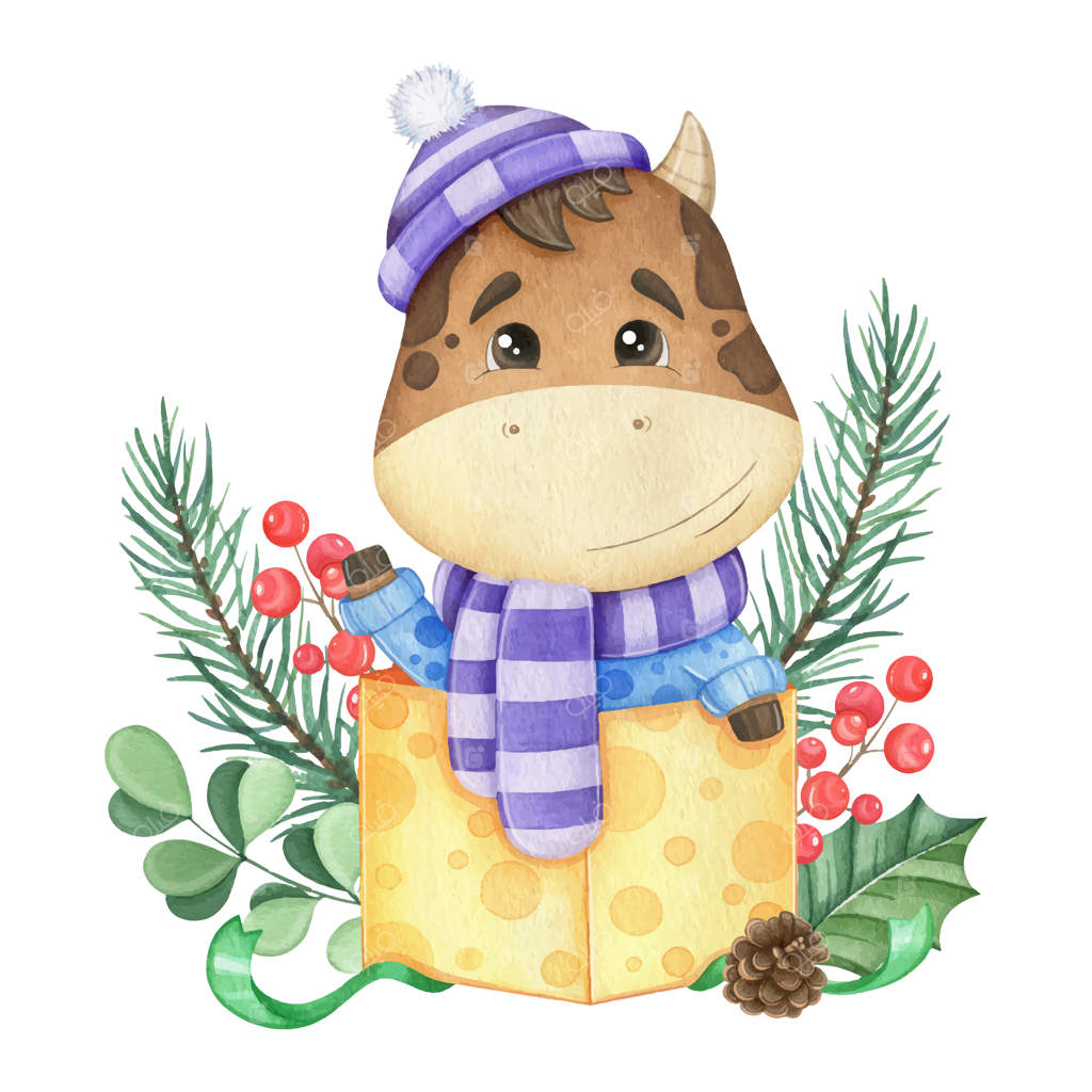 گاو بامزه در جعبه کادو با شاخه‌های صنوبر. نقاشی آبرنگی