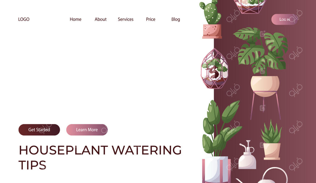 صفحه فرود با مجموعه‌ای از گیاهان خانگی و آب‌پاش. گلخانه خانگی و گیاهان آپارتمانی. پوستر یا بنر فروشگاه خانگی.