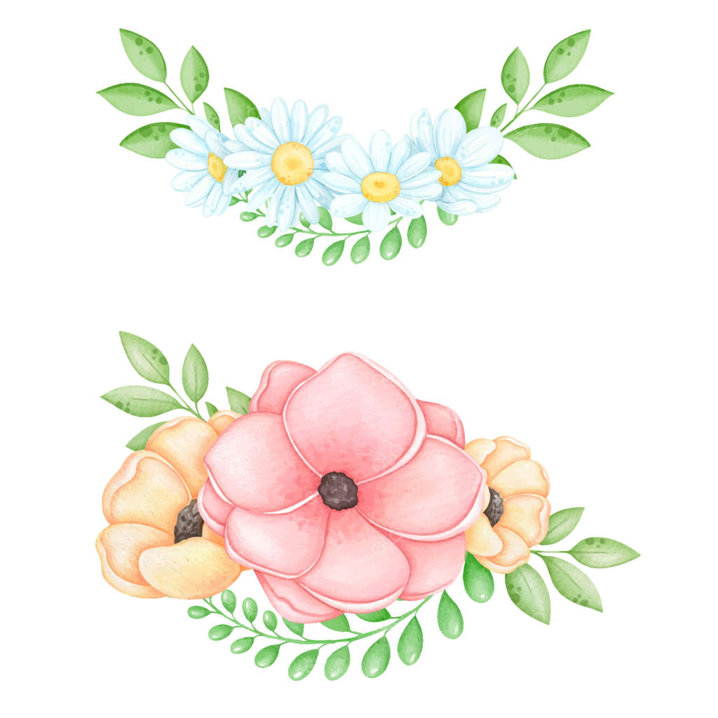 حلقه گل نقاشی آبرنگ از بابونه و خشخاش