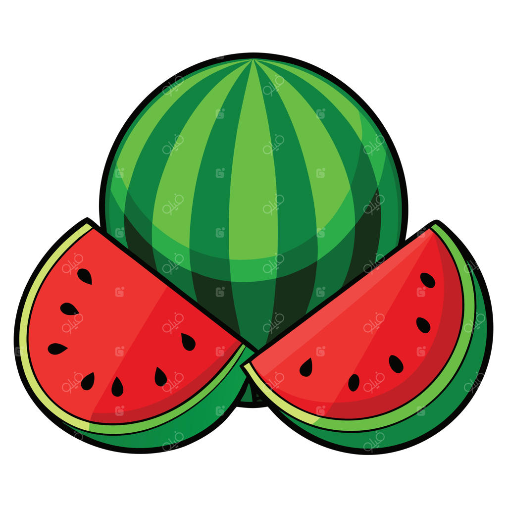 هندوانه کامل و دو قاچ با هسته به سبک کارتونی در پس‌زمینه سفید