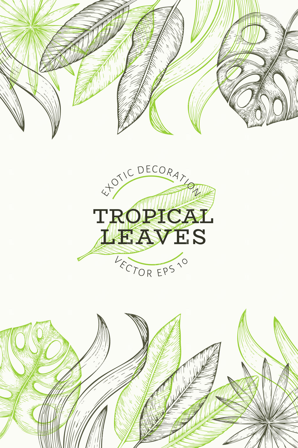 بنر گیاهان استوایی: تصویرسازی دست‌کشیده برگ‌های گرمسیری و عجیب و غریب. طراحی سبک حکاکی برگ‌های جنگلی و نخل.