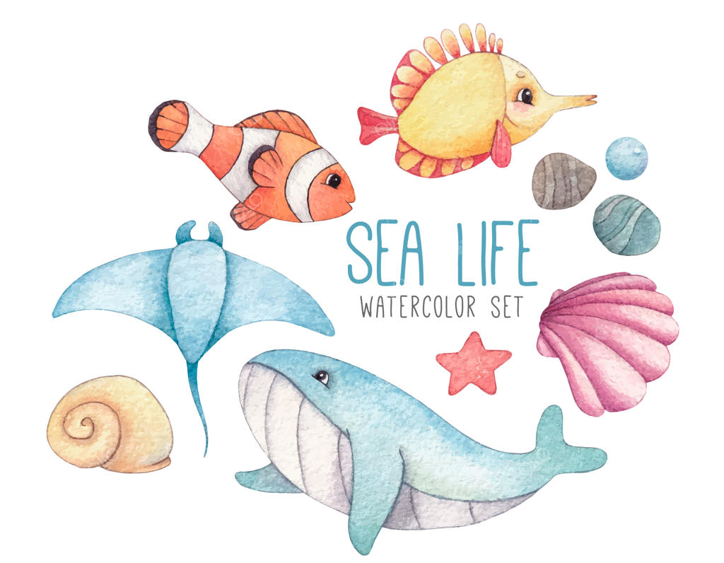 ست آبرنگی ماهیان گرمسیری، نهنگ آبی، سفره‌ماهی، صدف‌ها و ستاره دریایی