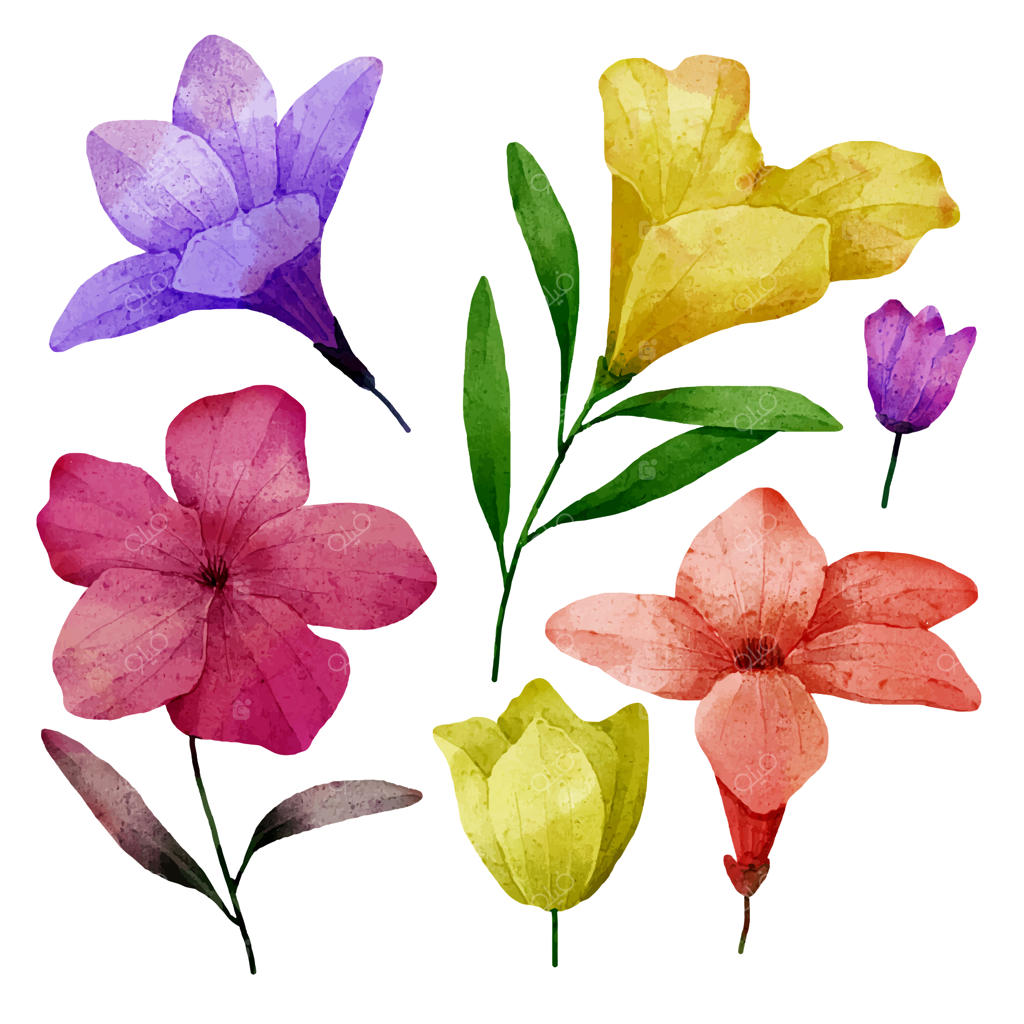 دسته گل زیبا و برگ‌ها برای تزیین به سبک آبرنگی