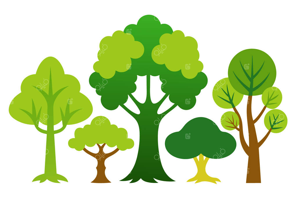 مجموعه‌ای از درختان با اشکال و اندازه‌های مختلف