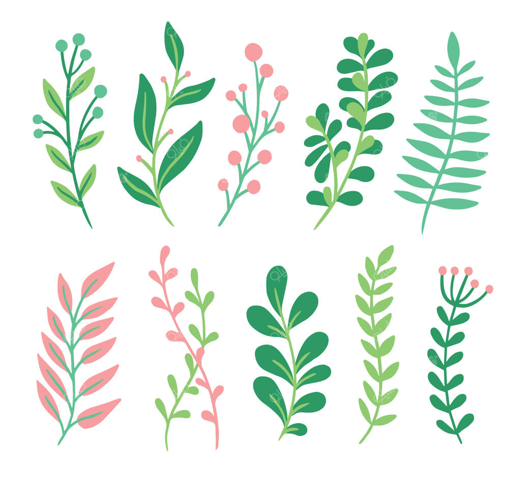 برگ‌های دکور: عناصر گیاهی سبز و صورتی، شاخ و برگ‌های باغ ارگانیک، شاخه‌های زیبای گیاهی، ایزوله شده بر روی سفید