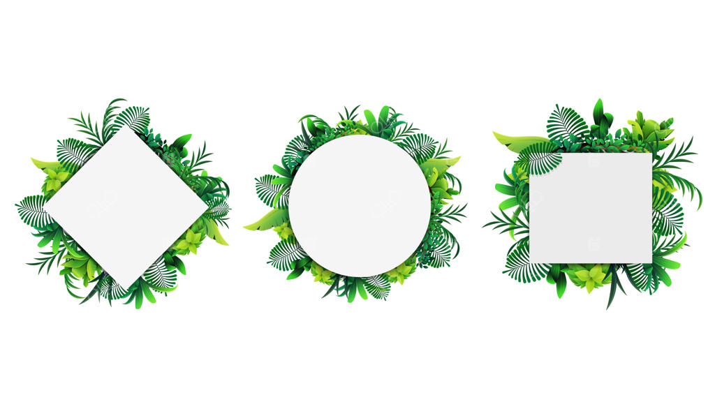 مجموعه‌ای از قاب‌های هندسی ساخته شده از برگ‌های استوایی با پس‌زمینه سفید. قالب قاب با عناصر استوایی برای خلاقیت شما