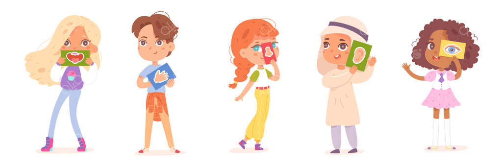 کودکان و پنج حس: کارت‌های آموزشی با اعضای دیدن، شنیدن، بوییدن، چشیدن و لمس کردن