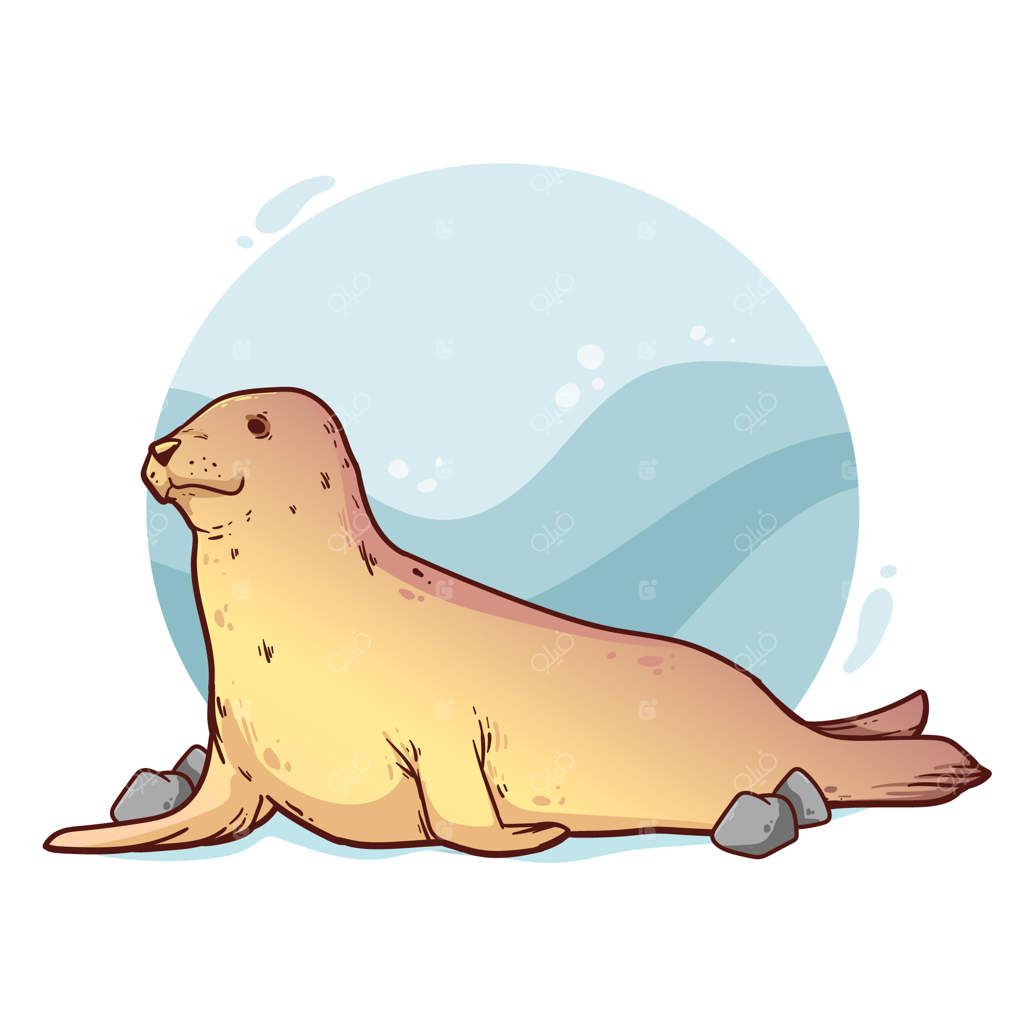 تصویرسازی دستی طراحی فوک