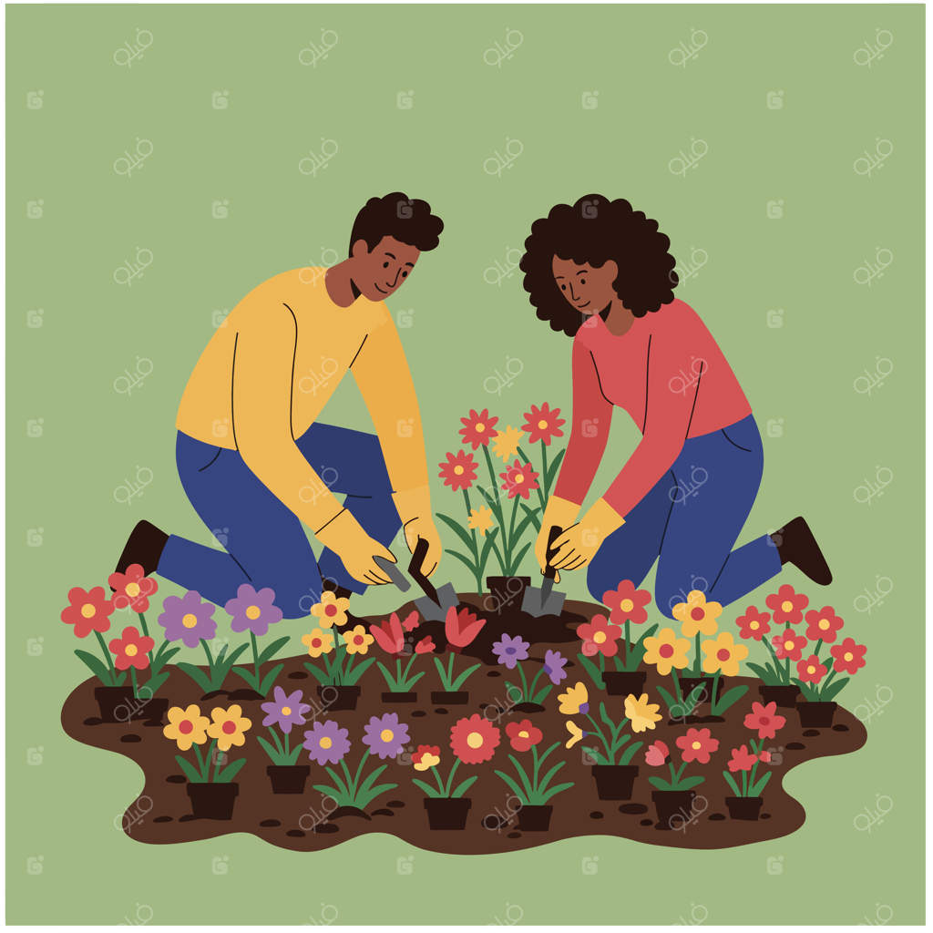 تصویر فعالیت باغبانی زوج، کاشت گل‌های رنگارنگ در باغ خانگی