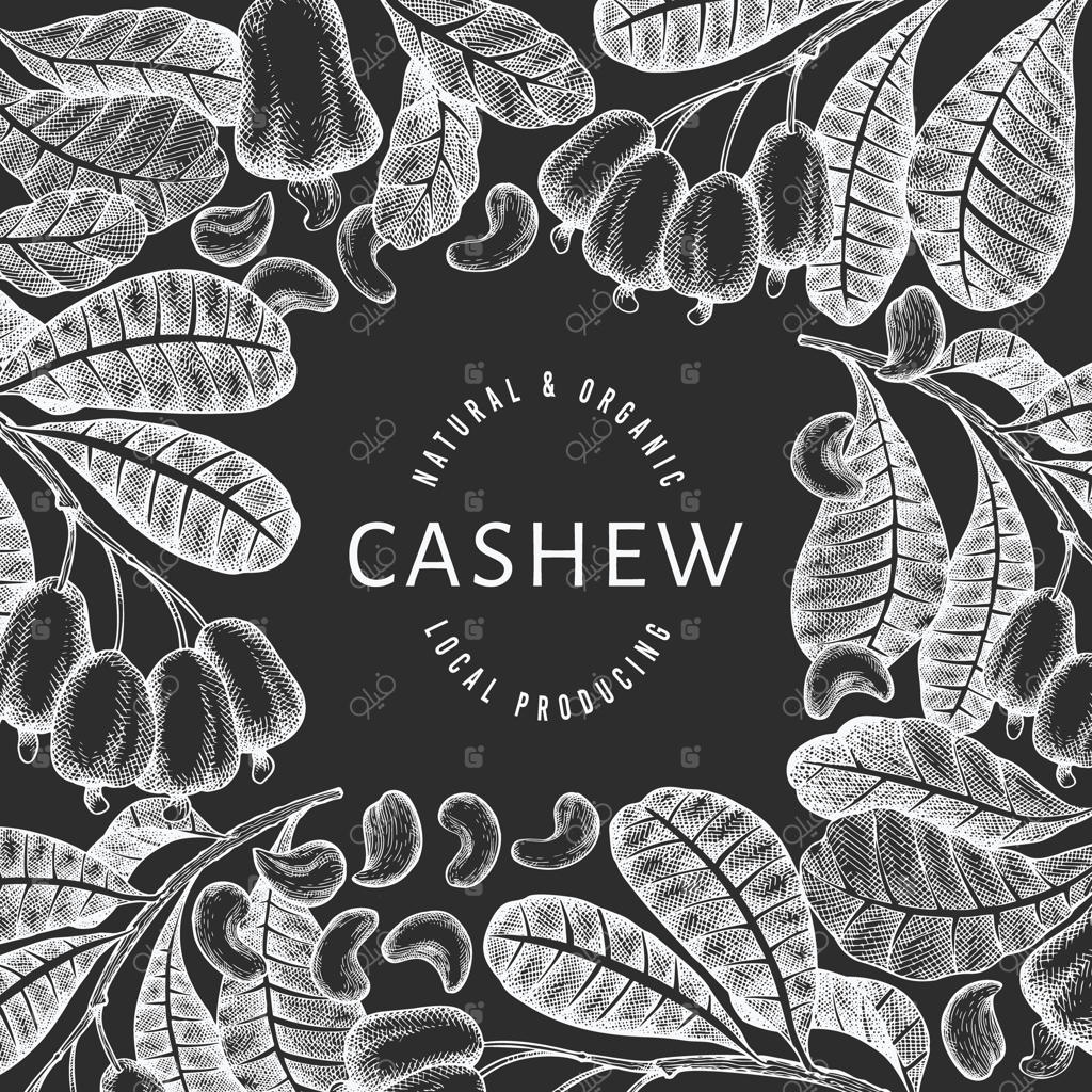 طرح قالب بادام هندی با طراحی دستی.