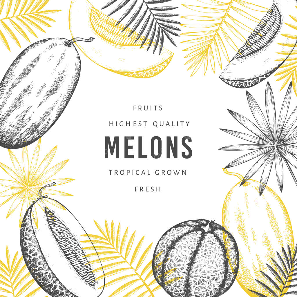 طرح قالب طراحی طالبی با برگ‌های استوایی.