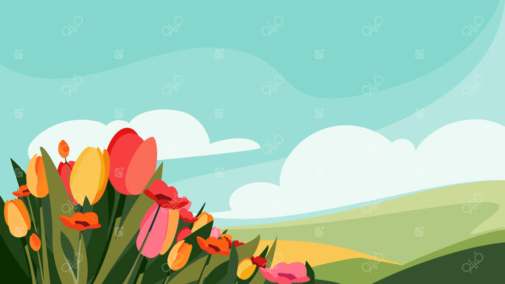 گل‌های متنوع در چمنزار. چشم‌انداز زیبای طبیعت.