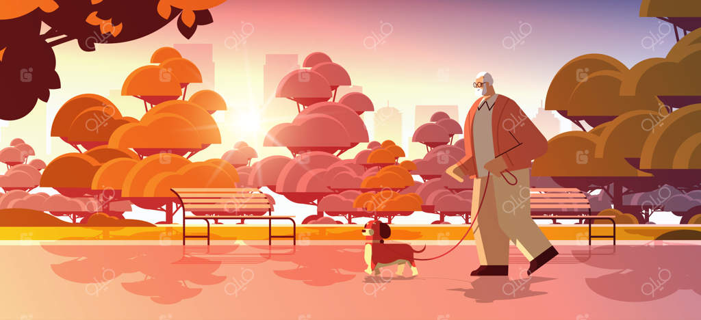 مرد سالمند فعال در حال پیاده‌روی در پارک با سگ کوچکش - پدربزرگ در حال استراحت با حیوان خانگی در غروب شهر - تصویر برداری کامل