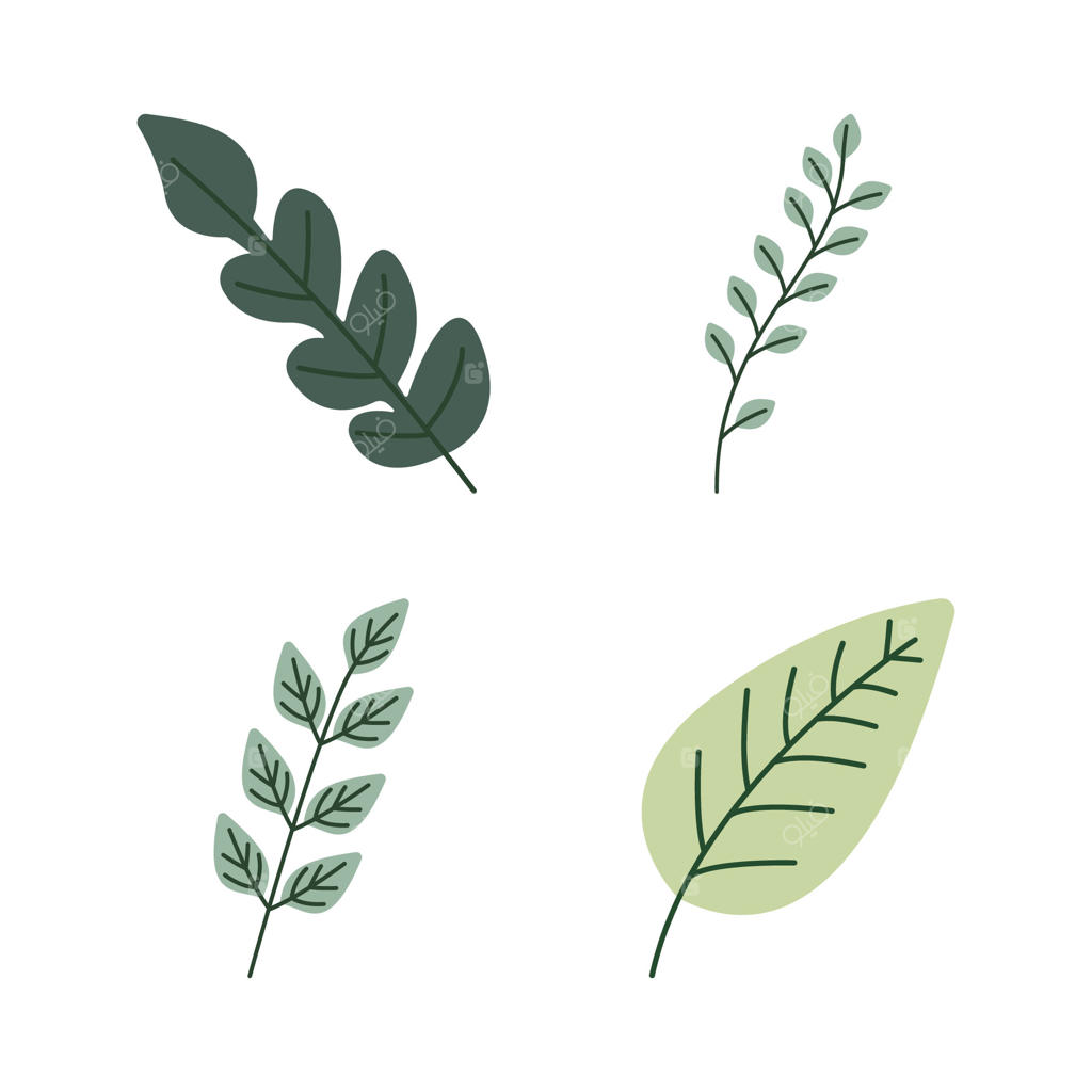 مجموعه‌ای از برگ‌های سبز تازه در باغ پارک طبیعت