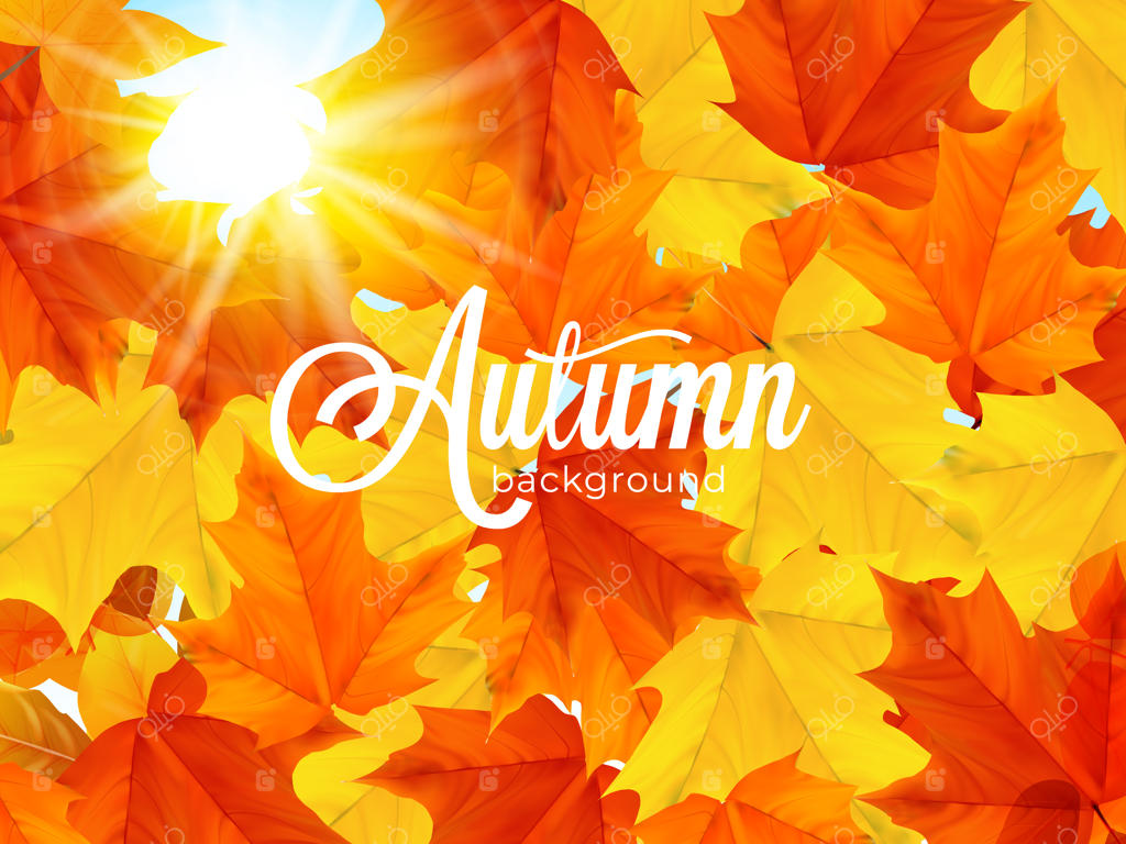 پس‌زمینه برگ‌های پاییزی گرم و آفتاب‌گیر