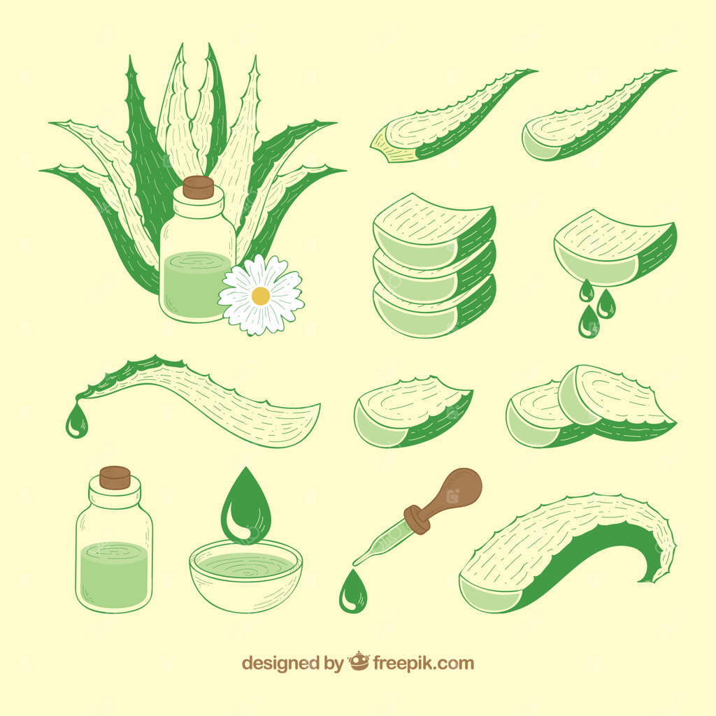 بسته تولید لوازم آرایشی با آلوئه‌ورا